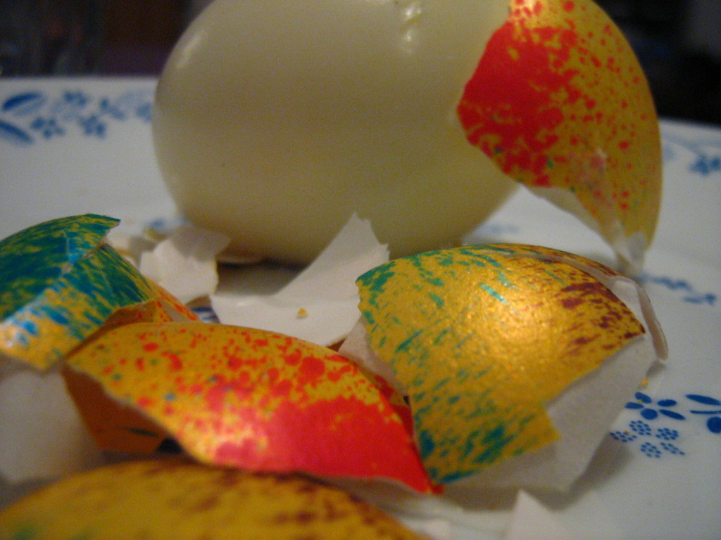 egg opened